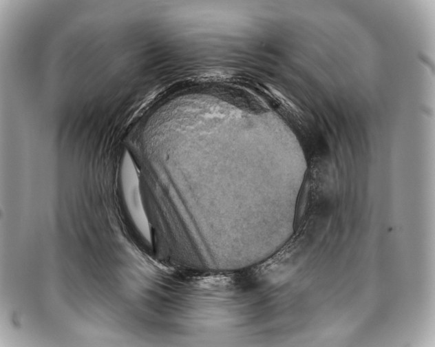 X0000096220168200802081533