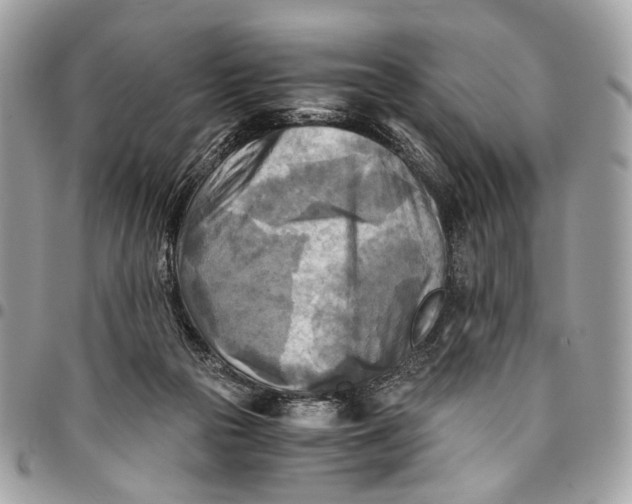 X0000096220169200802081533