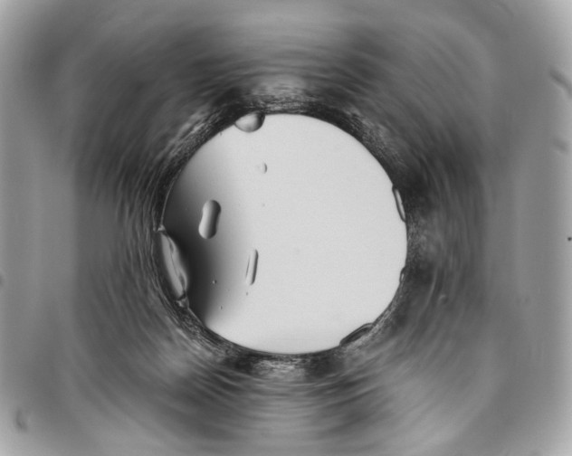 X0000096220170200802081533