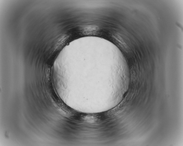 X0000096220171200802081533