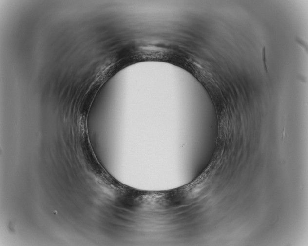 X0000096220172200802081533