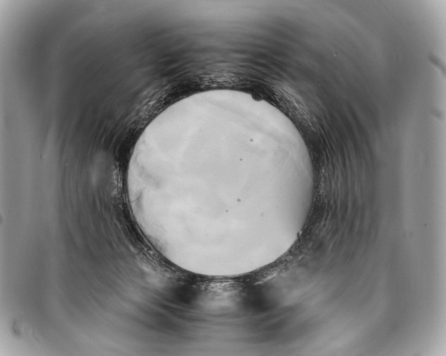 X0000096220173200802081533