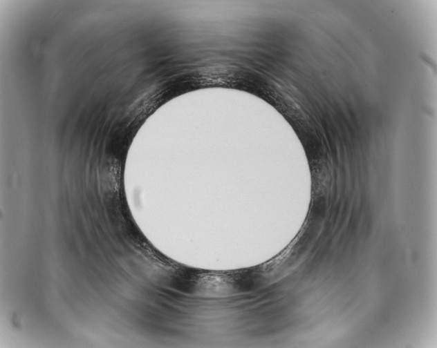 X0000096220174200802081533