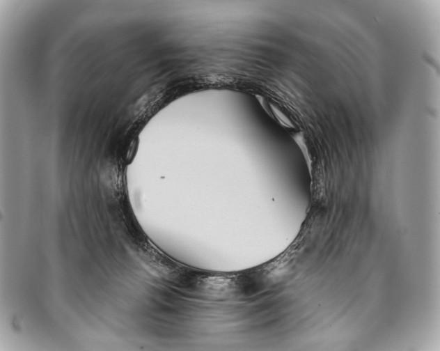 X0000096220176200802081533