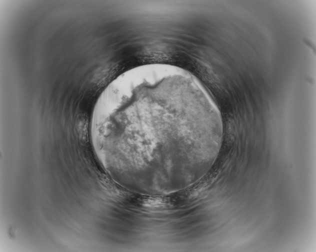 X0000096220177200802081533