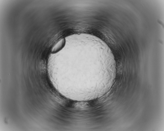 X0000096220179200802081533