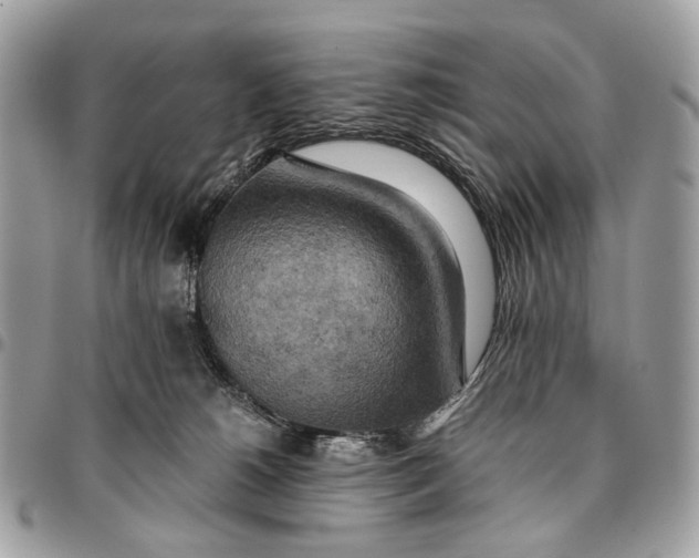 X0000096220180200802081533