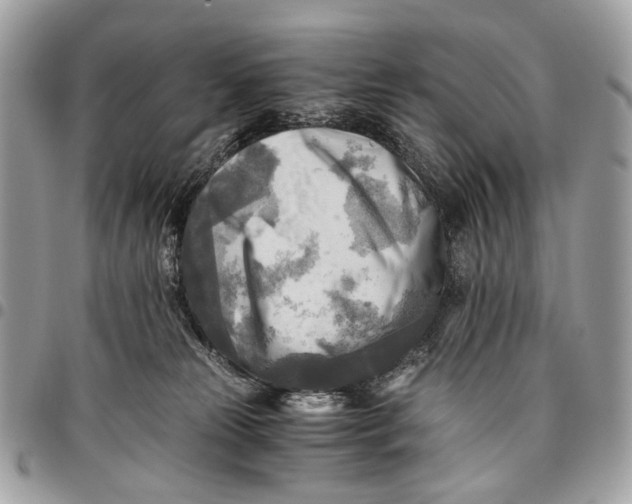 X0000096220181200802081533