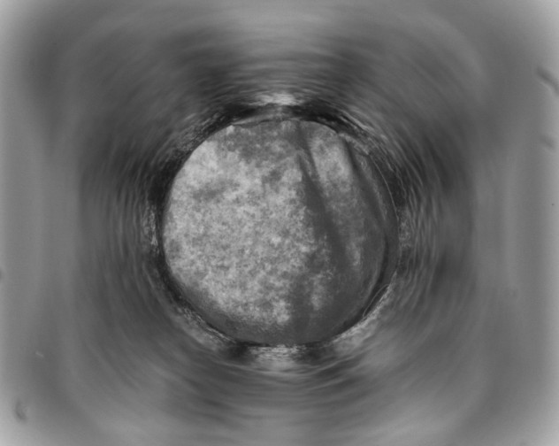 X0000096220182200802081533