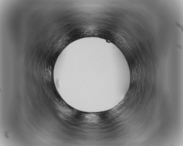 X0000096220183200802081533