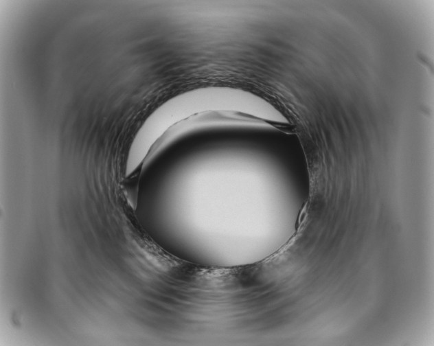 X0000096220186200802081533