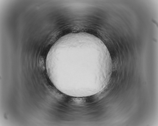 X0000096220187200802081533