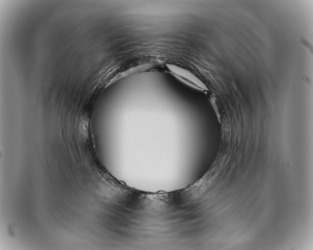 X0000096220188200802081533