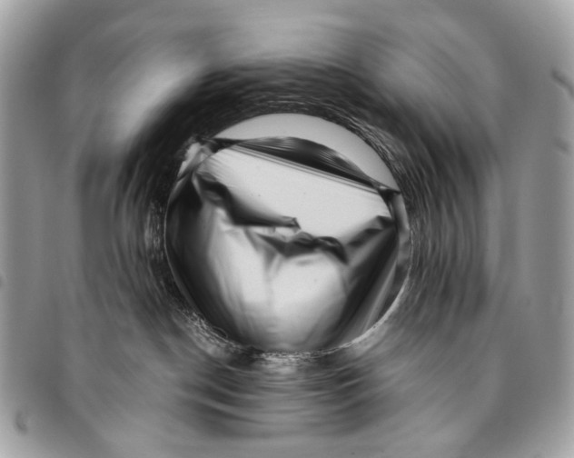 X0000096220190200802081533