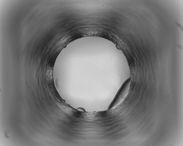 X0000096220191200802081533