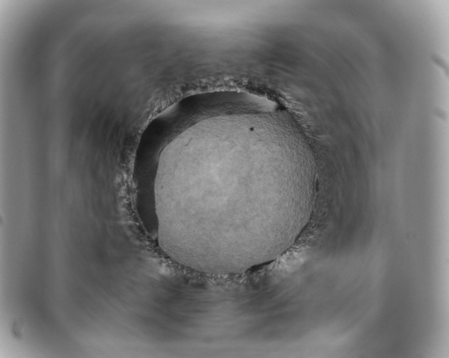 X0000096220192200802081533