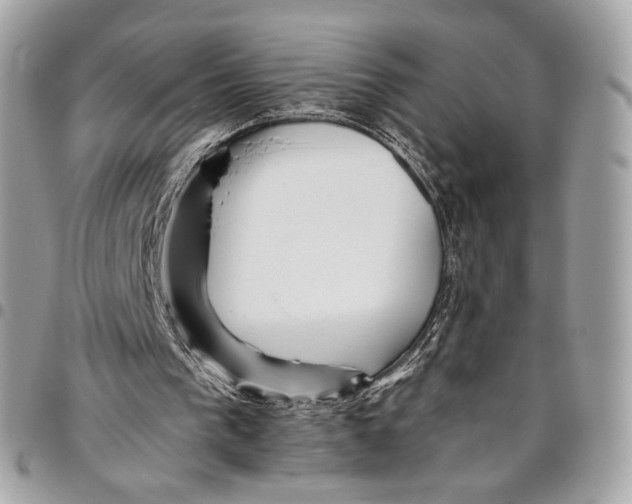 X0000096220193200802081533