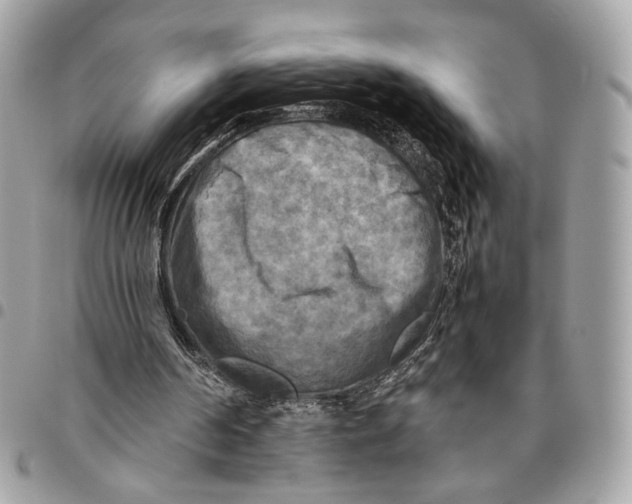 X0000096220194200802081533