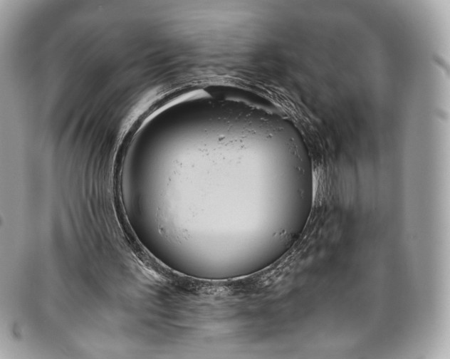 X0000096220195200802081533