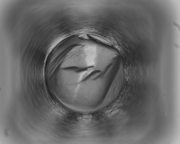 X0000096220196200802081533