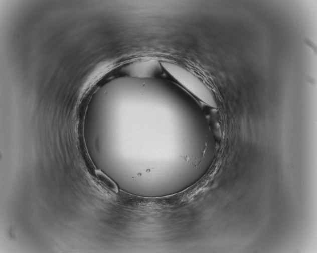 X0000096220197200802081533