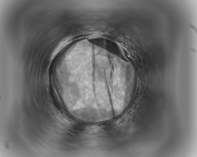 X0000096220198200802081533