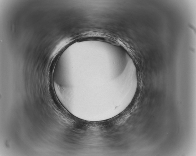 X0000096220199200802081533