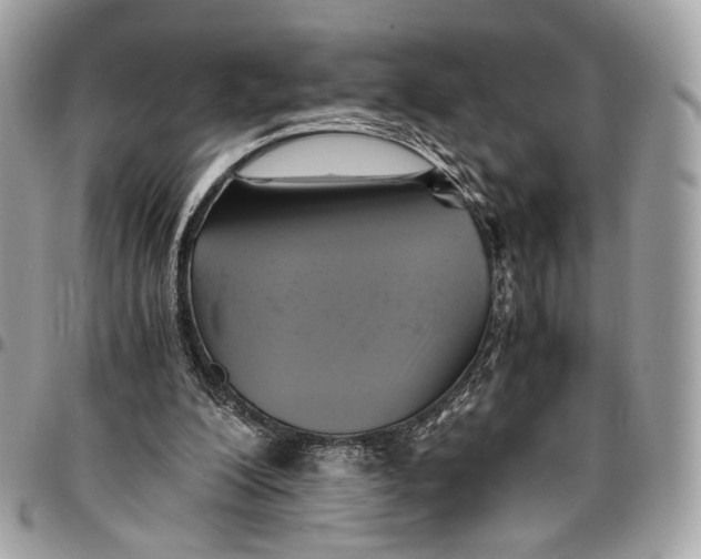 X0000096220200200802081533