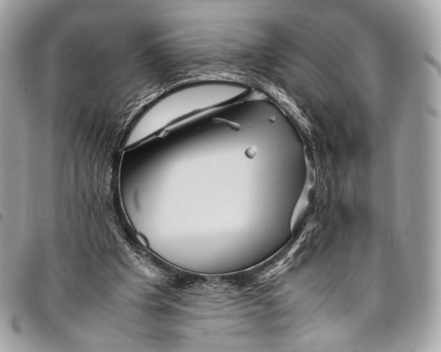 X0000096220201200802081533