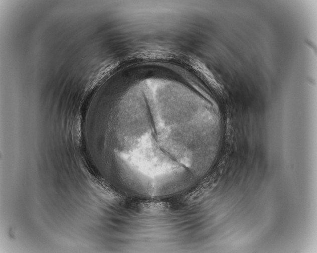 X0000096220202200802081533