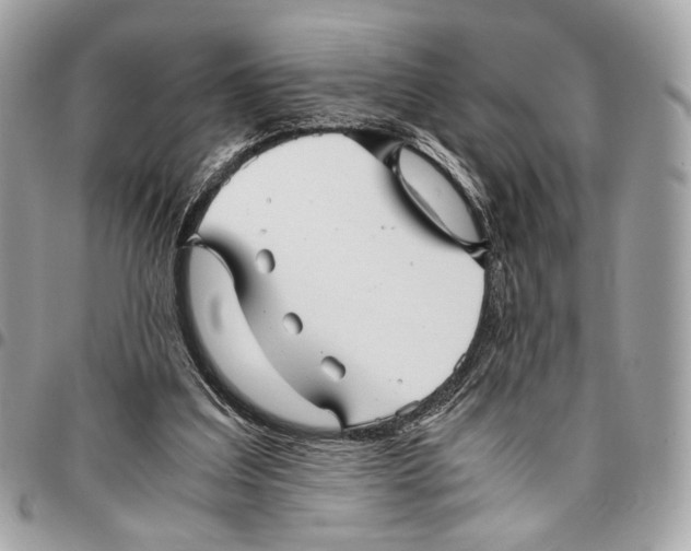 X0000096220203200802081533