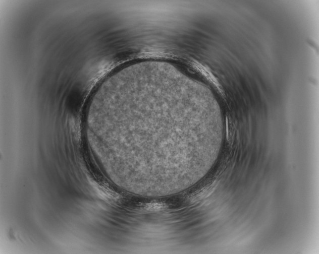 X0000096220204200802081533