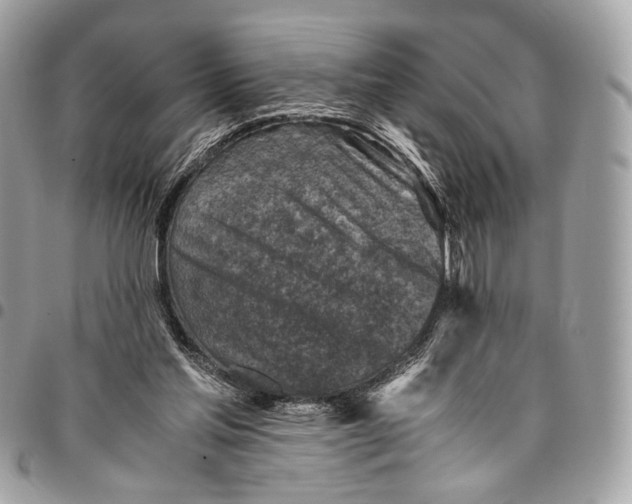 X0000096220205200802081533