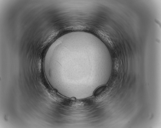 X0000096220206200802081533