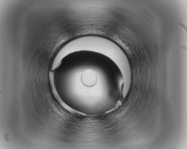 X0000096220207200802081533