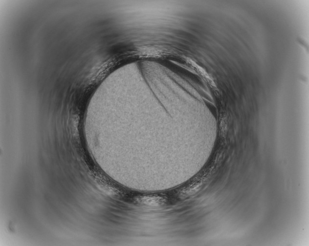 X0000096220209200802081533