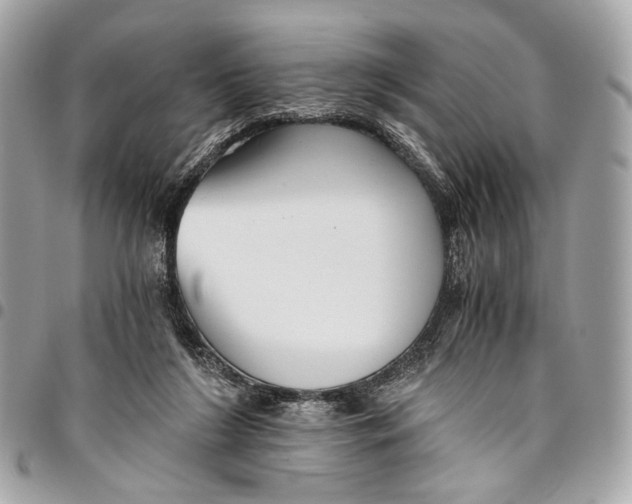 X0000096220212200802081533