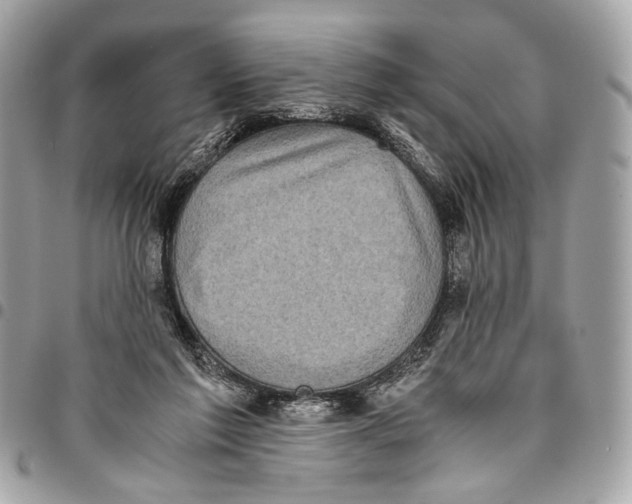 X0000096220213200802081533