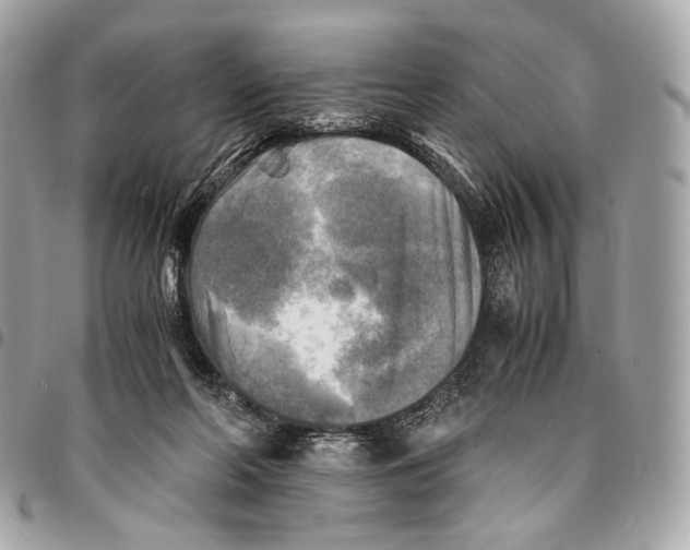 X0000096220214200802081532