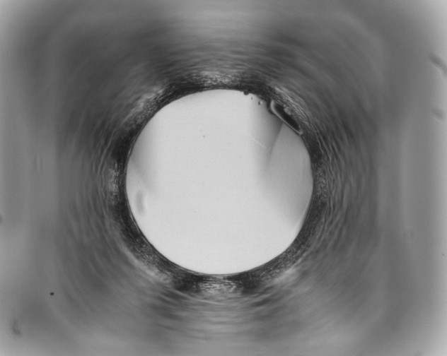 X0000096220215200802081532