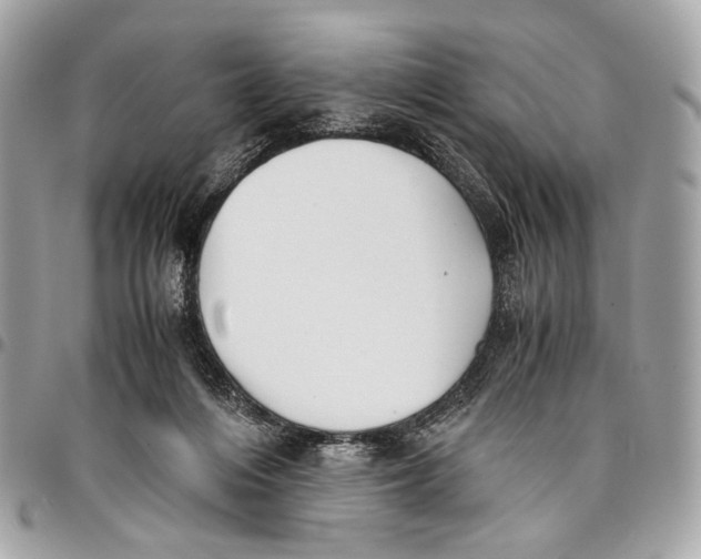 X0000096220216200802081532