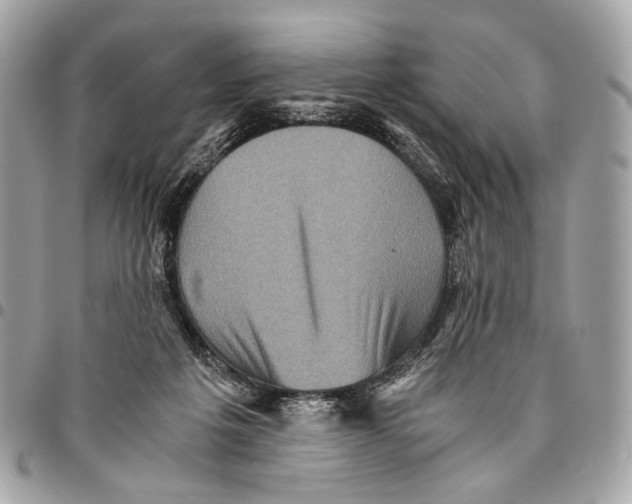 X0000096220217200802081532