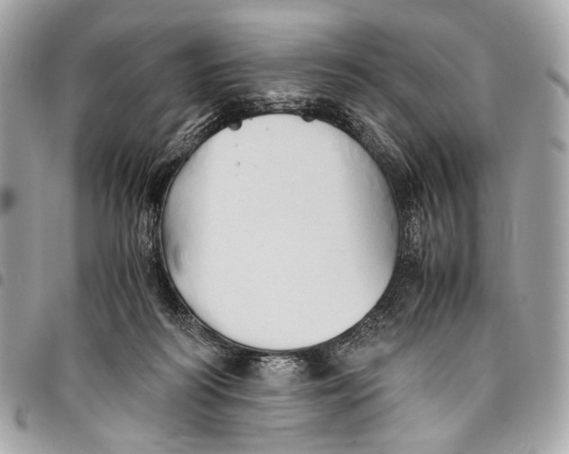 X0000096220218200802081532