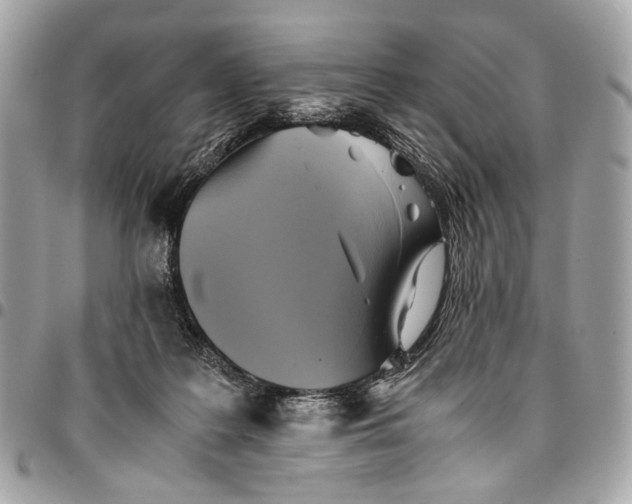 X0000096220219200802081532