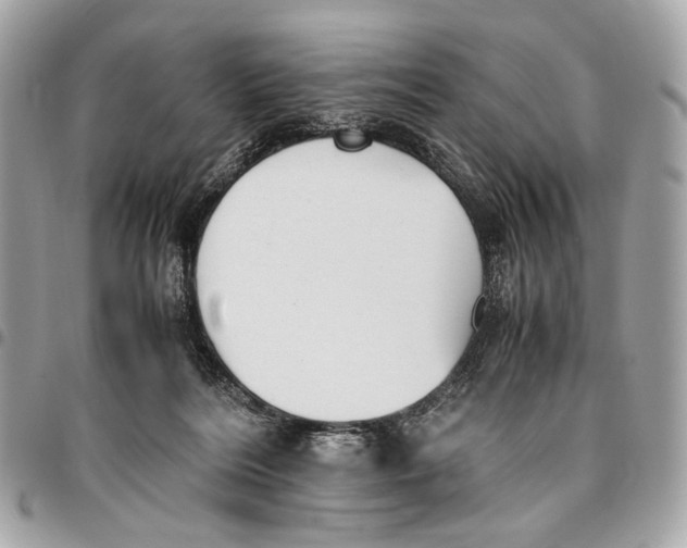 X0000096220220200802081532