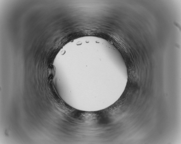 X0000096220221200802081532