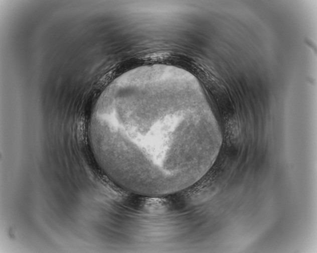 X0000096220222200802081532