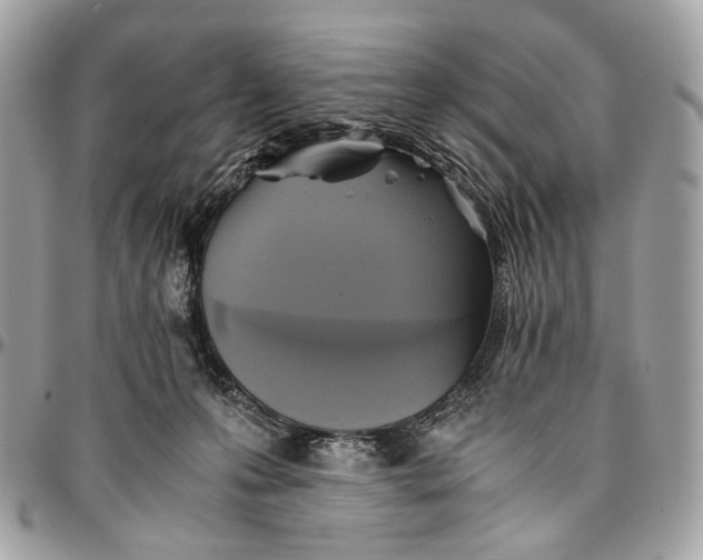 X0000096220223200802081532