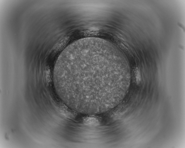 X0000096220224200802081532