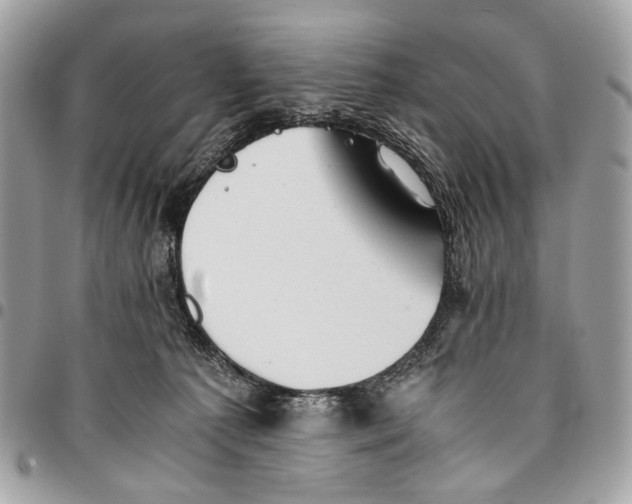 X0000096220225200802081532